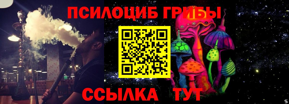 Псилоцибиновые грибы Psilocybe  Вход с VPN  Россия  Галлюциногенные грибы MAGIC MUSHROOMS 